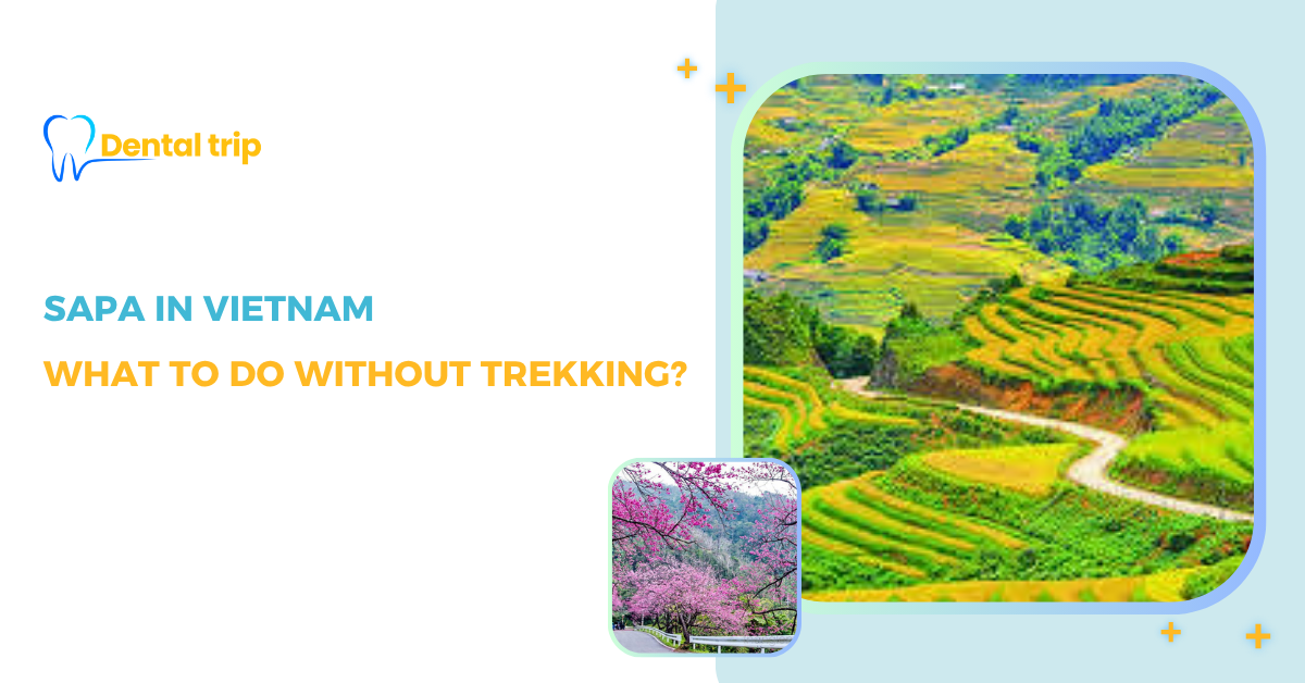 Enjoying Sapa Without Trekking